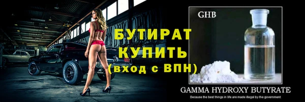 шишки Белая Холуница