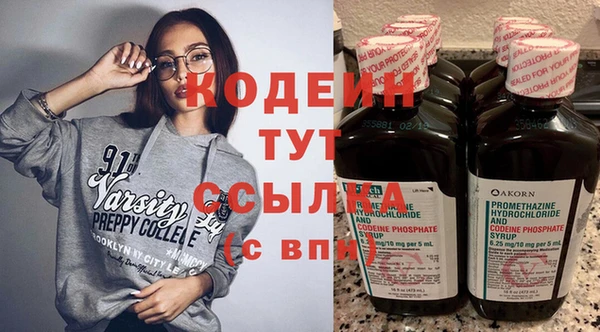 шишки Белая Холуница