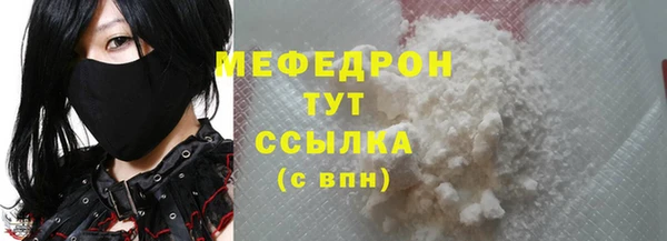 шишки Белая Холуница