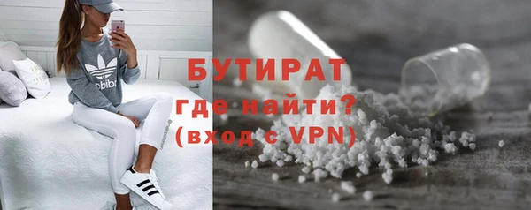 шишки Белая Холуница