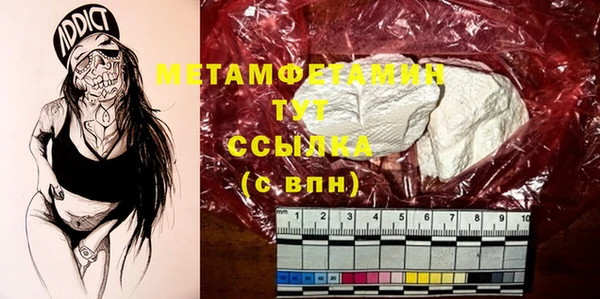 шишки Белая Холуница