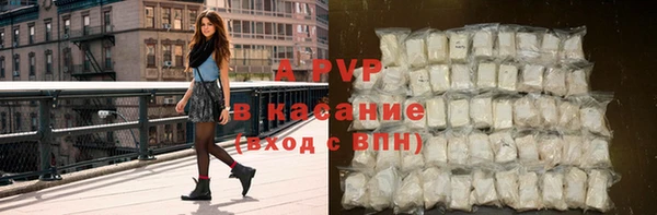 шишки Белая Холуница