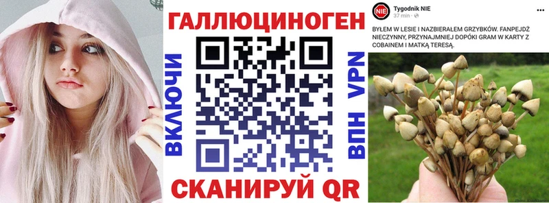 mega зеркало  Гаврилов Посад  Галлюциногенные грибы прущие грибы 