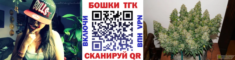 МАРИХУАНА план  Гаврилов Посад 